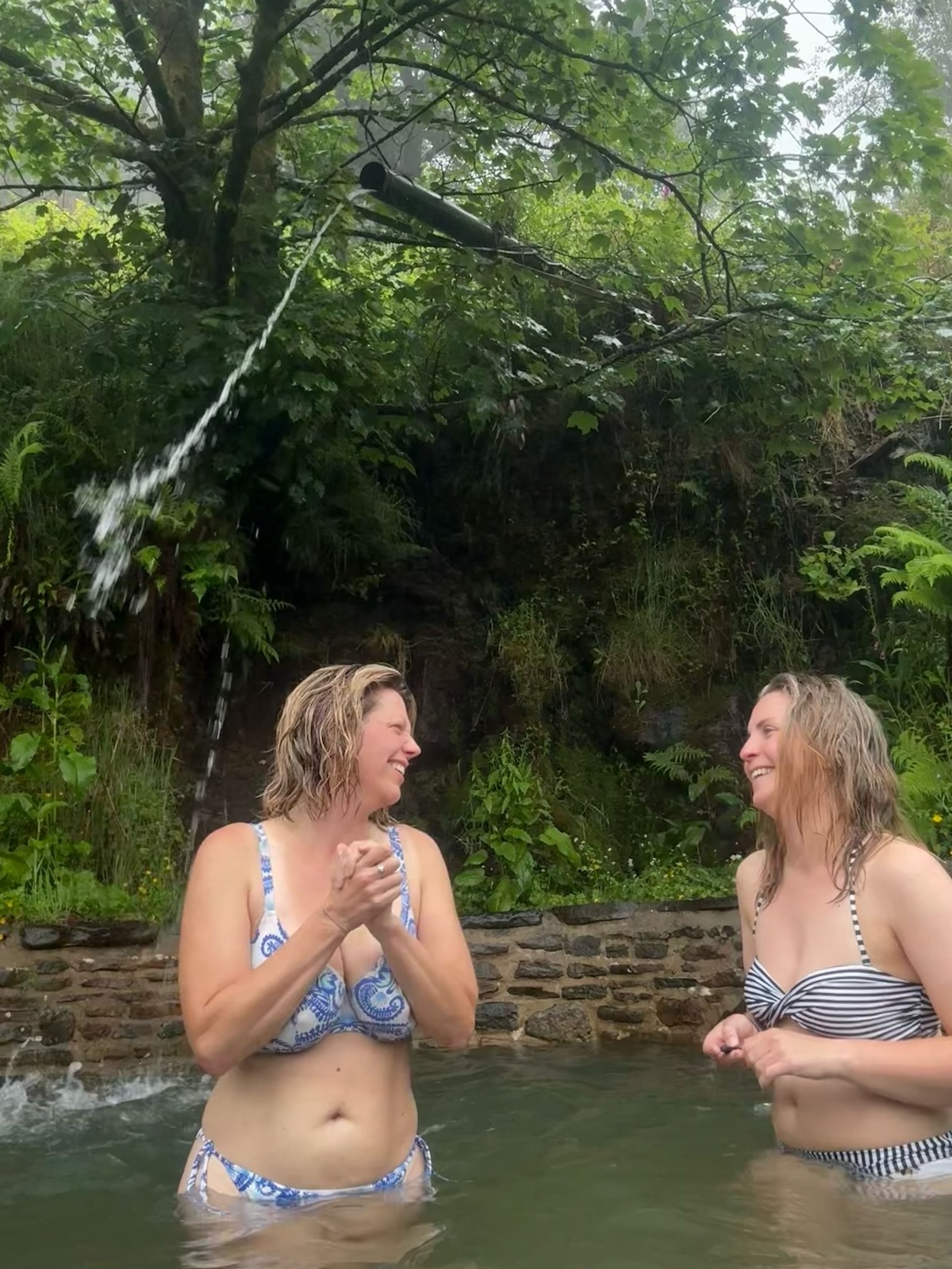 Examples of Artist's Work